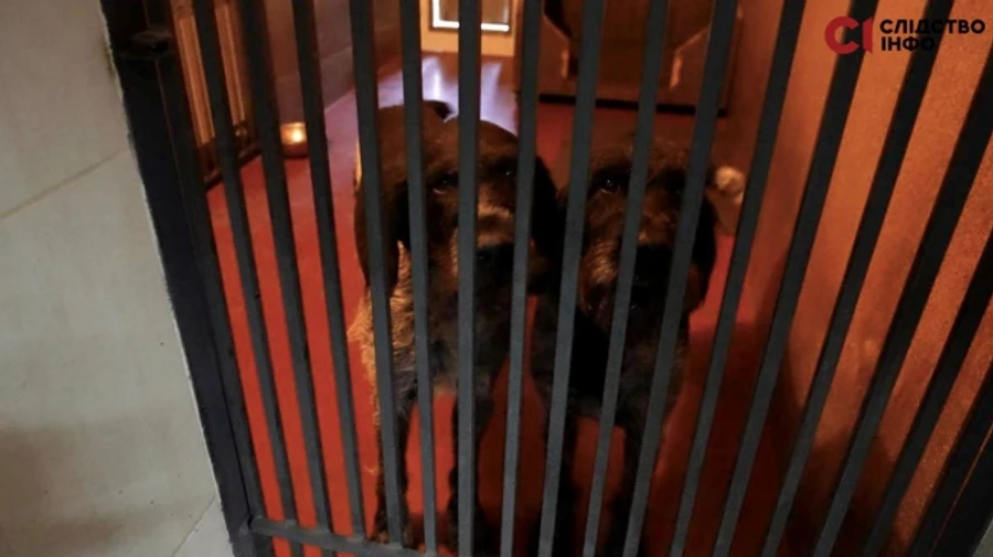 Атака росіян 30 червня: уламки ворожої ракети впали на територію Межигір’я