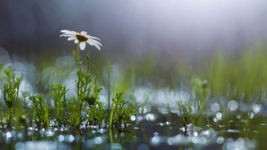 На вихідні українців збадьорить похолодання