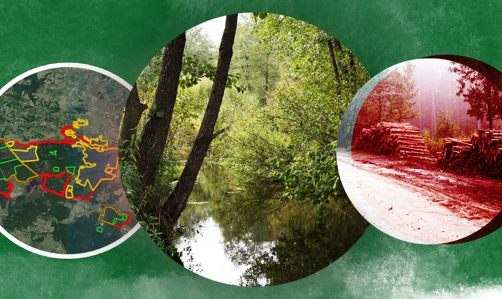 Новий льодовиковий період. Чому Україна створює безнадійно мало заповідних територій 