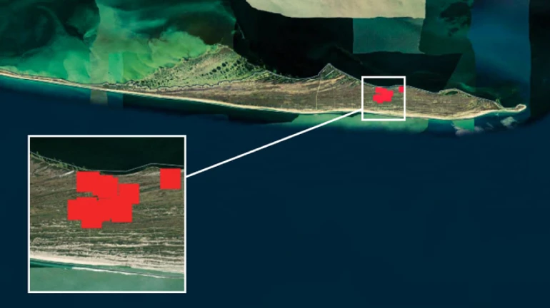 Уже 5 днів палає цінна степова частина на Джарилгачі – UNCG