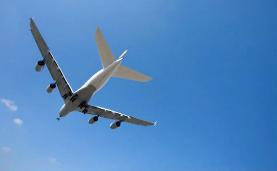 Самолет на Египет экстренно садился в Одессе из-за минирования