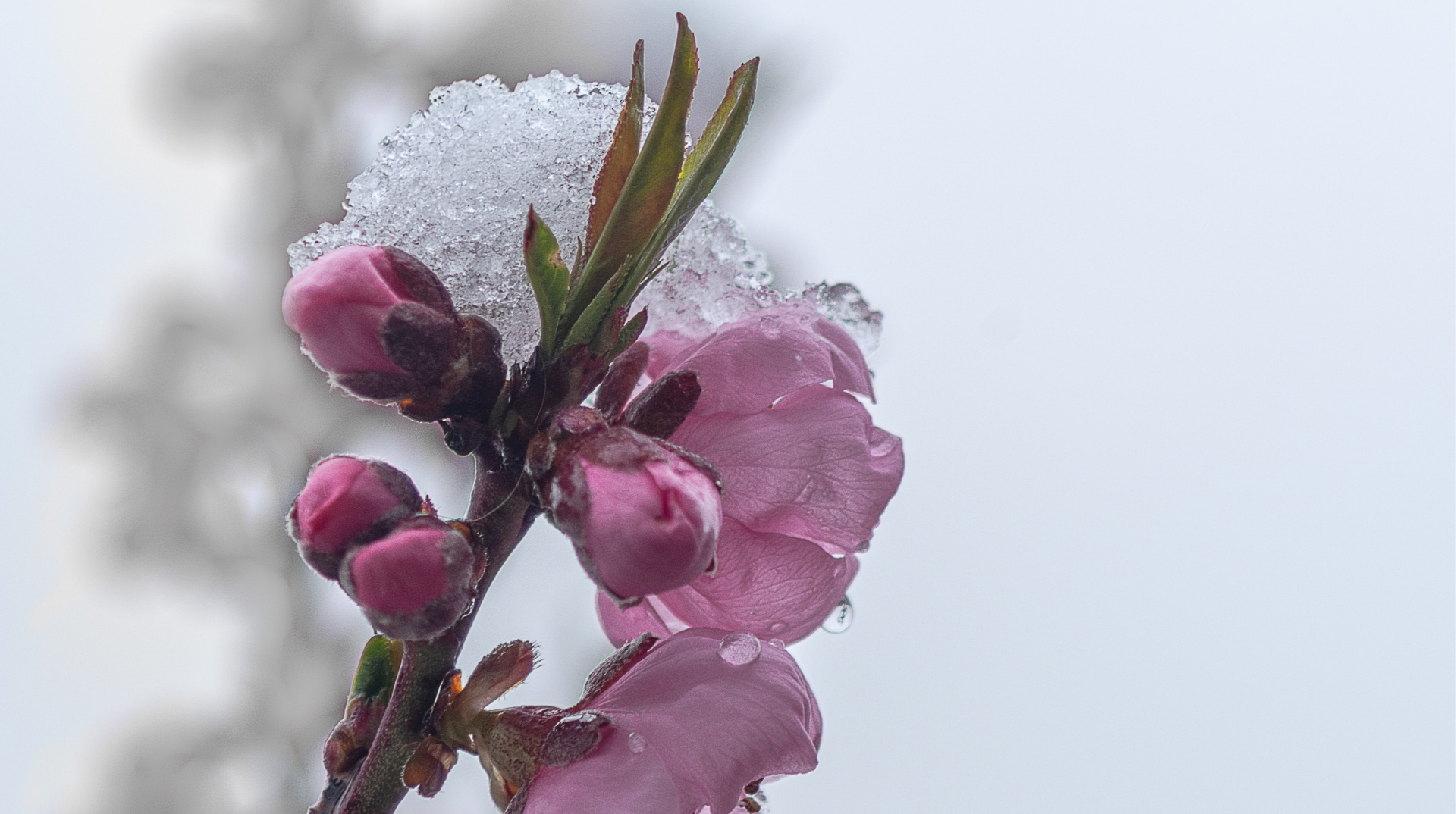 Україні до кінця тижня прогнозують дощ, сніг і нічні заморозки