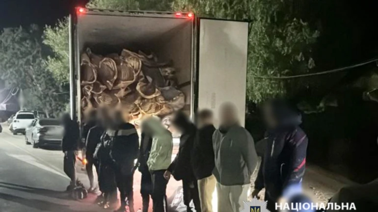 Перевозили за кордон чоловіків у рефрижераторі з м’ясом: на Одещині затримали двох іноземців