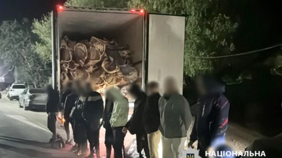Перевозили за границу мужчин в рефрижераторе с мясом: в Одесской области задержали двух иностранцев