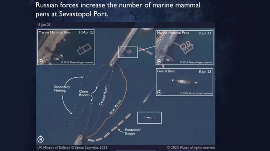 Russia uses dolphins to protect its Black Sea Fleet base in Sevastopol – UK Intelligence