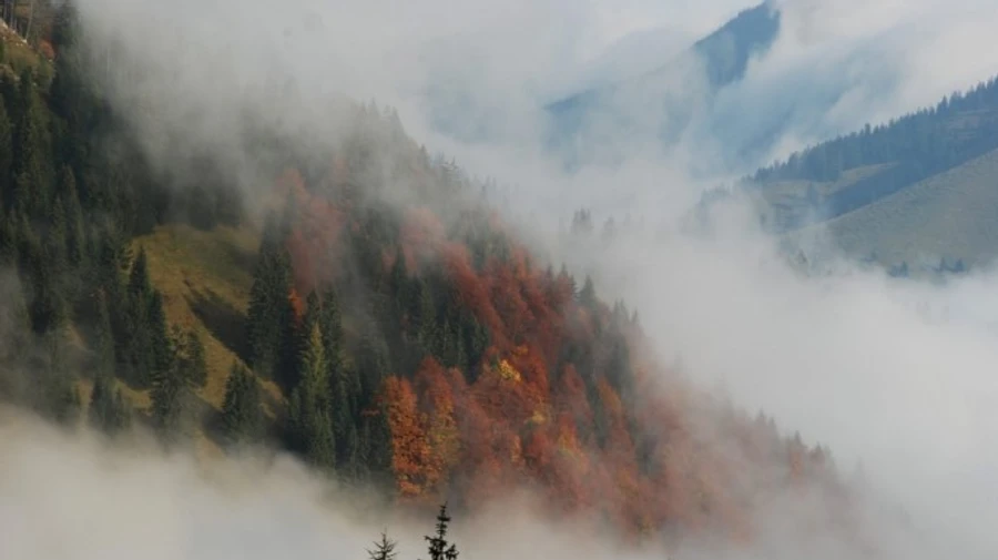 Українців попередили про небезпечне погодне явище