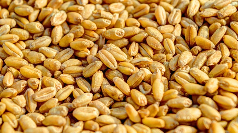 Details of the grain export agreement revealed