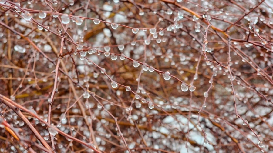 В четверг ожидаются заморозки и немного мокрого снега