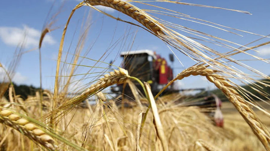 Looting officially: Russia intends to steal grain and other products from occupied Ukraine