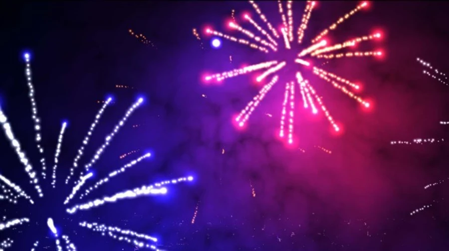 В Риме сотни птиц погибли из-за массовых новогодних фейерверков