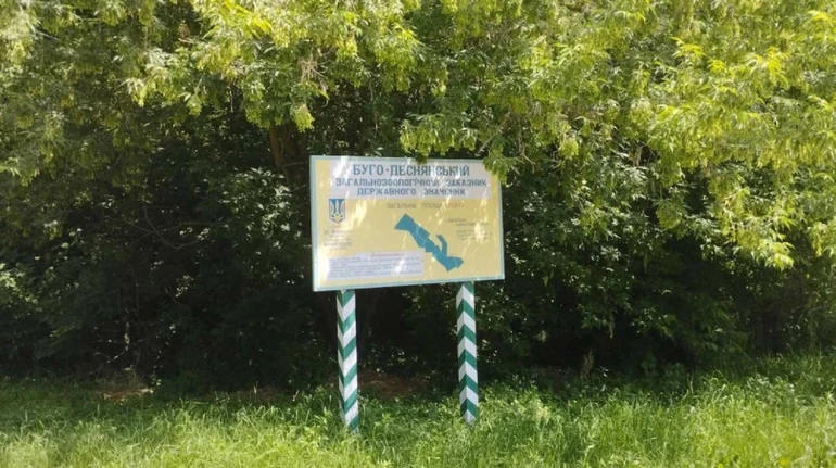 Прокуратура не змогла відібрати у екслісовика землю у Буго-Деснянському заказнику