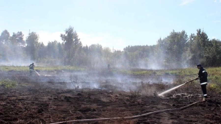 Загорання торфовищ на Київщині: 4 осередки загасили, 2 залишилося