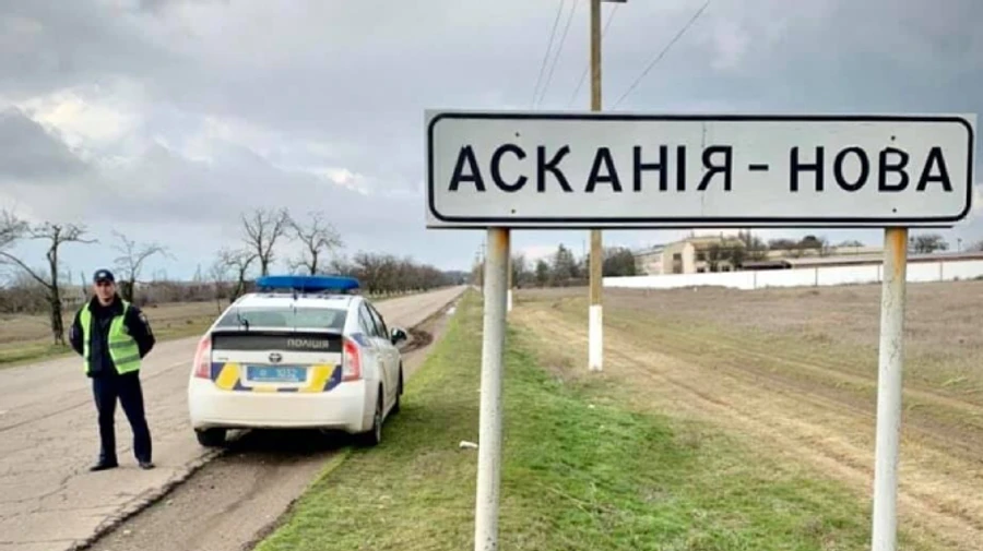 На Херсонщине - птичий армагеддон: массово гибнут краснокнижные журавли