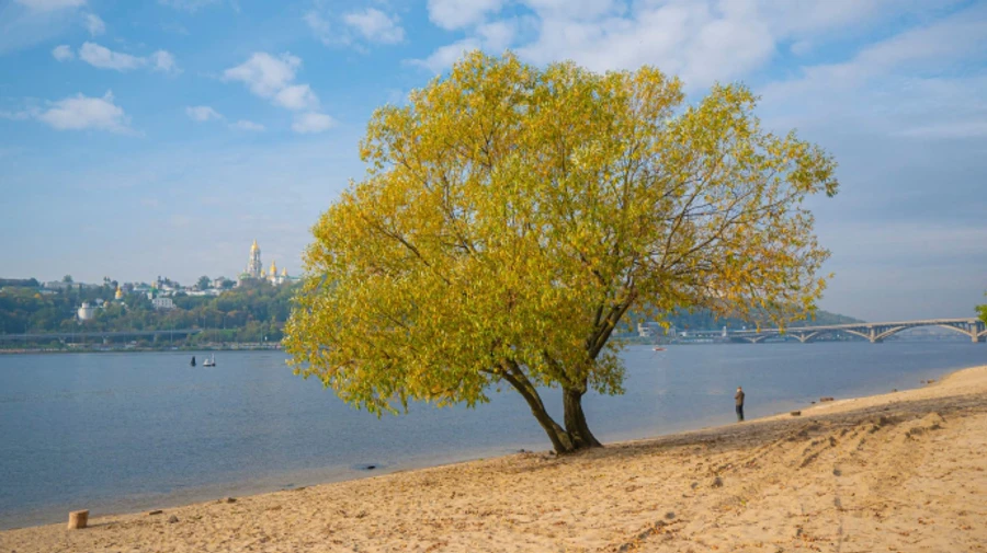 Синоптики обещают комфортные градусы почти без дождя