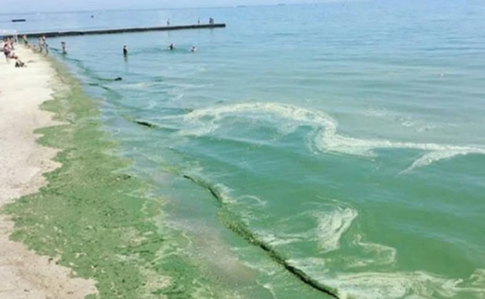 В Одесі позеленіло море: купатися не рекомендують