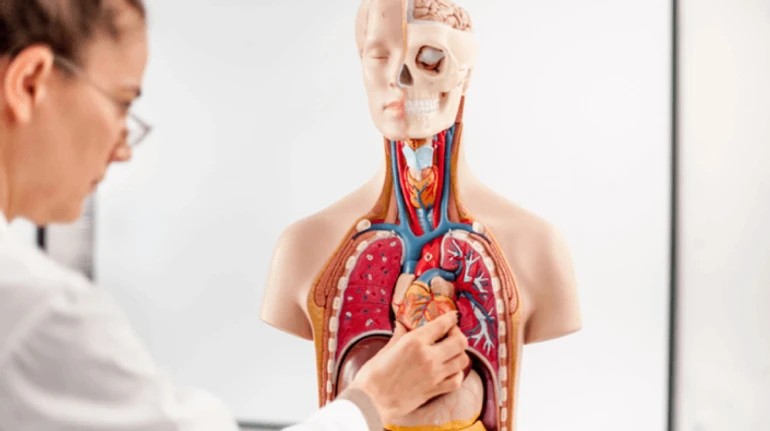 Триллионы бактерий и подарки эволюции: что вы знаете о суперсилах человеческого тела? ТЕСТ