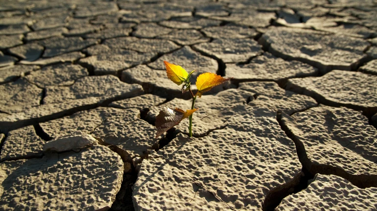 2025 рік став третім найтеплішим за всю історію спостережень: рекордним місяцем став січень