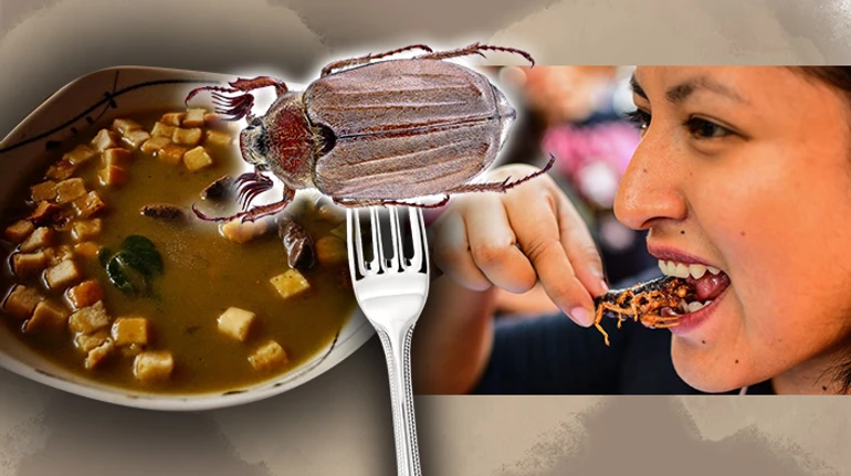 Суп із хрущів? Чому комахи можуть і мають потіснити м'ясо на нашому столі