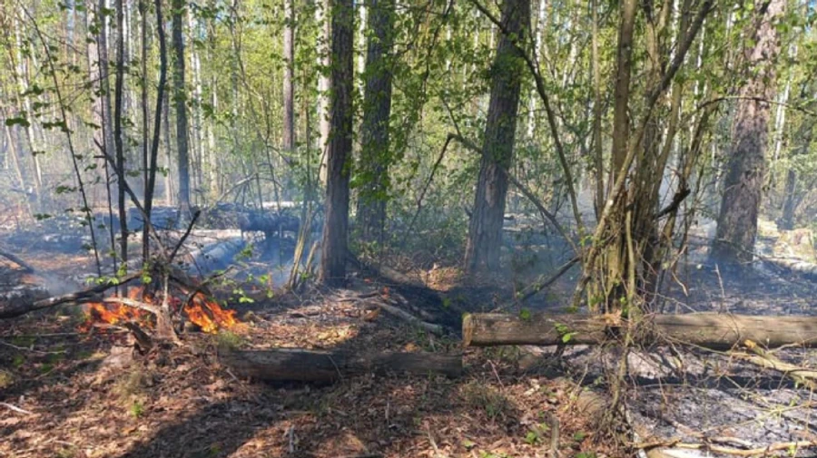 On 9 May, Russian forces fired unguided missiles at the border area of ​​Chernihiv region