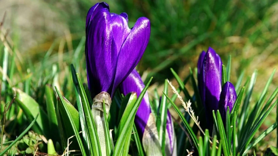 В Украину идет долгожданное потепление