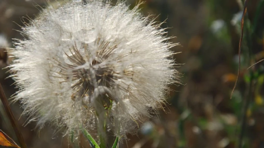 Погода в последние летние выходные порадует теплом