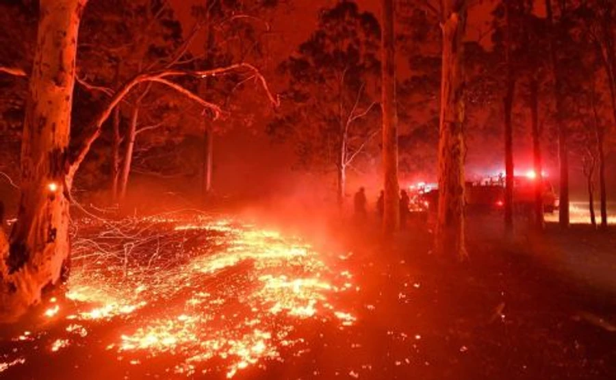 Украина готова направить в Австралию около 200 спасателей