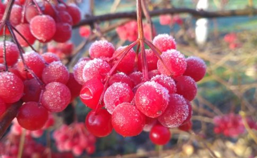 Еще два дня стабильной погоды, а к выходным похолодает