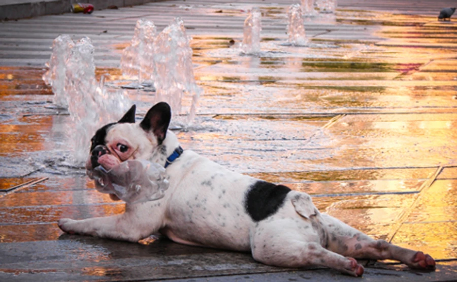 Синоптики рассказали, чего кроме жары ждать украинцам