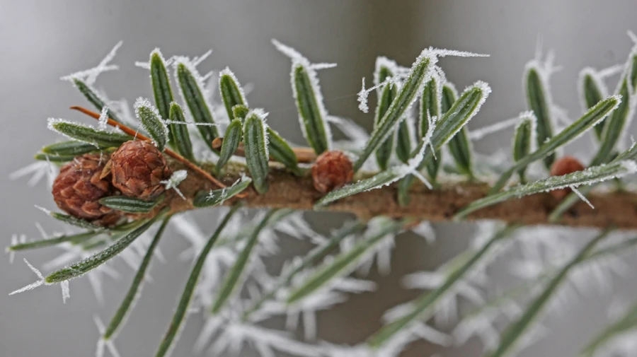 У більшості областей України очікується сніг, на дорогах – ожеледиця