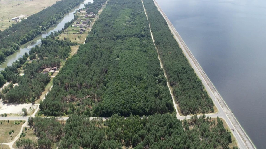 Злоумышленники хотели захватить 50 га леса на элитных землях Киевщины