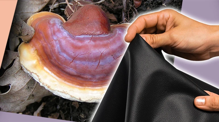 Шкіра з грибів. Як український стартап виготовляє екологічний матеріал