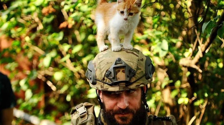 ЗСУ на півдні подекуди прорвали першу лінію оборони і вийшли на проміжну – Маляр