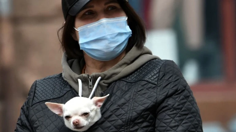 Епідемія коронавірусу пішла на спад в області, що почервоніла першою – уряд