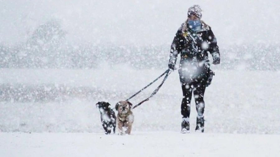 Україну охопить снігова й морозна погода