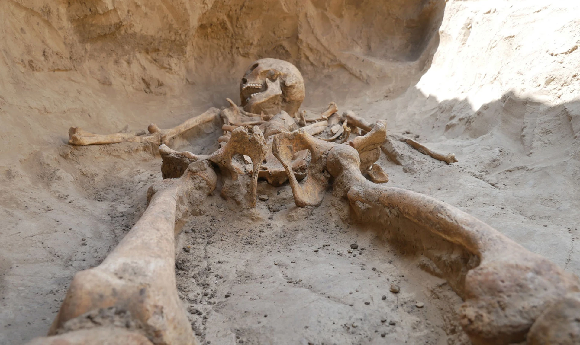 Таинственная Мамай-Гора. Кто такие археологи и почему ищут скифов в украинской степи