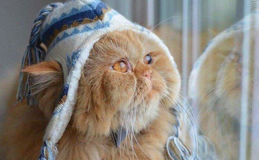 На Україну насуваються циклон Franz і антициклон Gabi