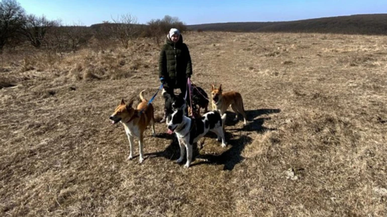 Эвакуировала 19 кошек и 8 собак. История и советы волонтеров, как спасать домашних животных