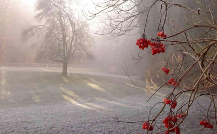 У неділю обіцяють небезпечний вітер, мокрий сніг і мряку