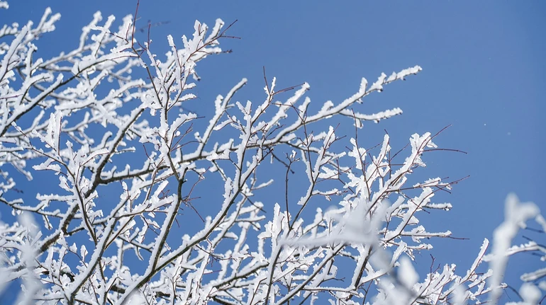 В Україні збережеться морозна погода