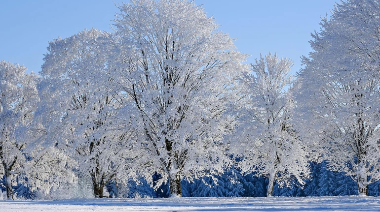 На вихідних в Україні подекуди до -25°, але переважно без опадів