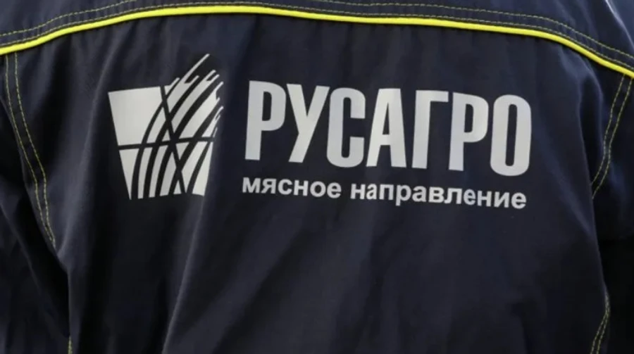 Russia's largest agribusiness shuts down pig farms in Belgorod Oblast due to attacks