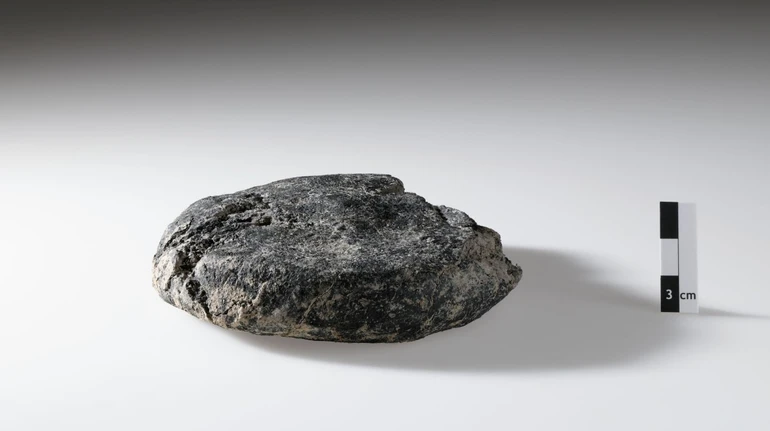 У Швейцарії знайшли 2000-річний римський хліб під час будівництва