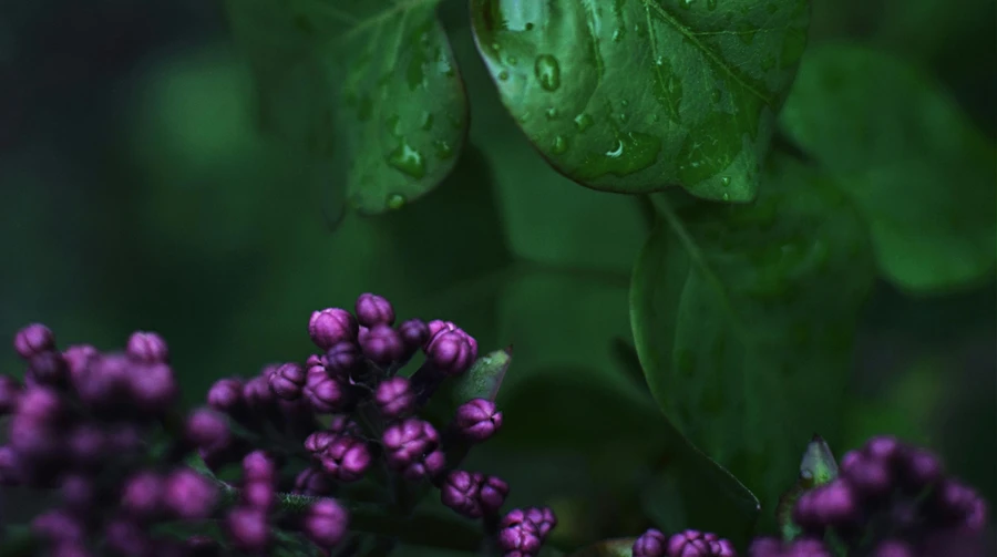 Последние дни апреля будут с дождем, май придет с ночными заморозками на почве