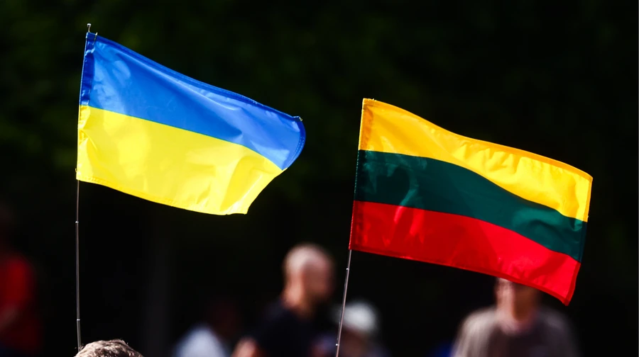 В Вильнюсе пьяные молодые люди сорвали с здания флаг Украины: их задержали