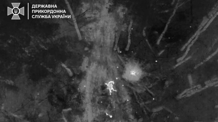 Landmine kills endangered Przewalski's wild horse in Chornobyl