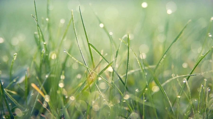 В Украине еще два дня будет идти дождь 