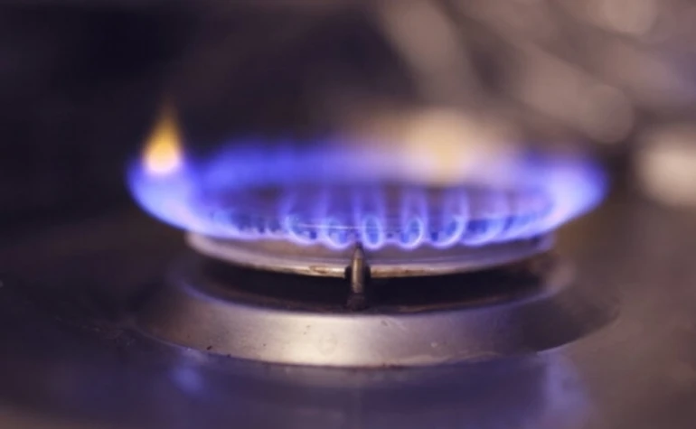 Вартість газу, вакцинація і права українців