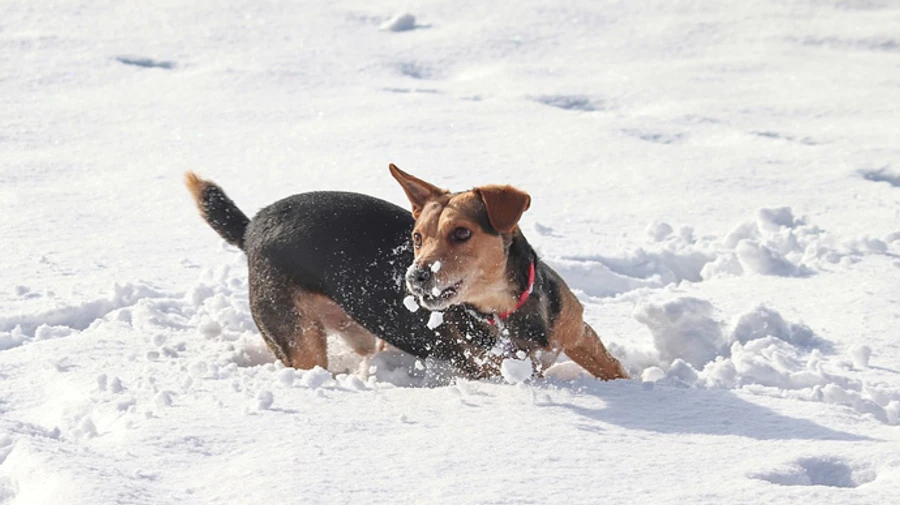Замело: в Украине насыпало до 112 см снега