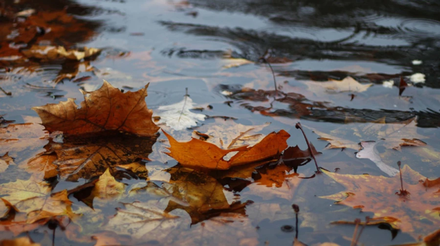 В Украину идет похолодание и дожди