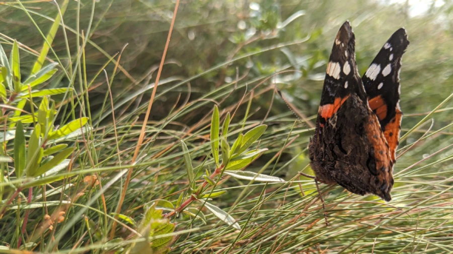 Август принесет прохладу - прогноз